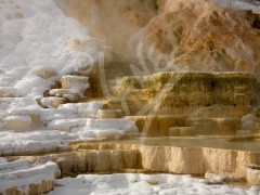 WYOMING Mammoth Hot Springs